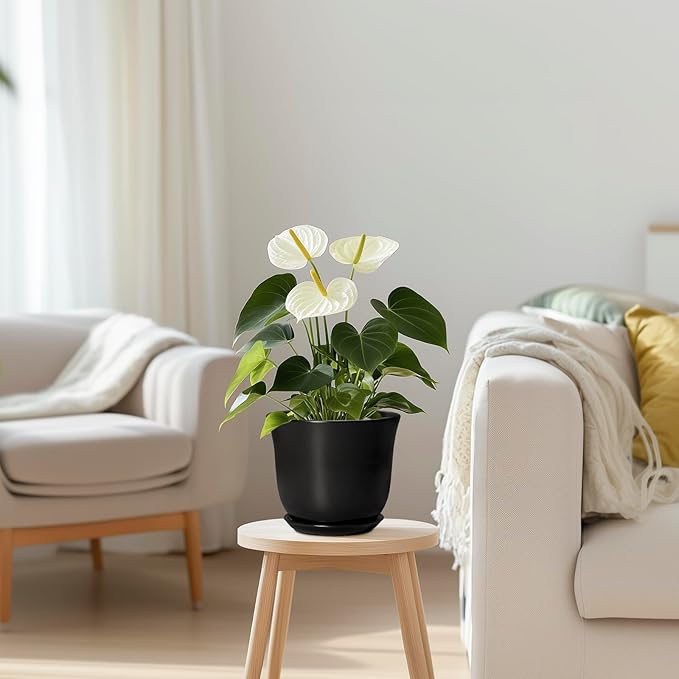 Ceramic Planter - 5.6 Inch Plant Pot for Indoor Outdoor, Round Succulent Pots with Drainage Hole and Saucer, Orchid Flower Pot, Modern Planter, Home Office Decor, House Warming Gifts, Black