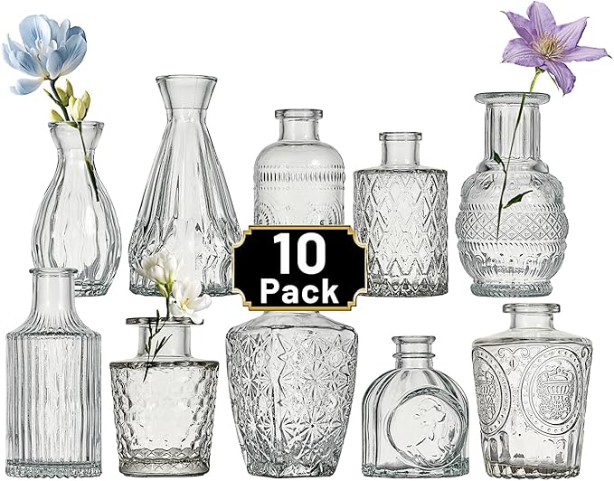 Glass Bud Vase Set of 10 Pcs Small Minimalist Vases for Flowers, Vintage Rustic Home Decor for Table Centerpiece Wedding Party, Modern Clear Aromatherapy Bottle for Living Room Bedroom