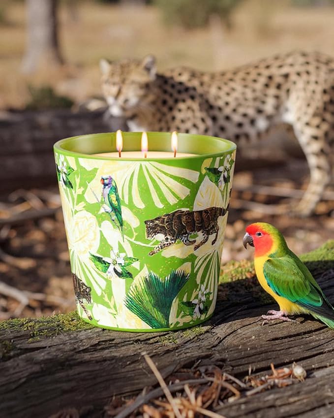 Verbena & Fig Leaf Scented Candle, Large Natural Candles Non Toxic for Home Scented, 30oz Soy Wax, 3 Wicks, Luxury Aromatherapy Candles | 100+ Hour Slow-Burn for Home Decor,Stress Relief,SPA