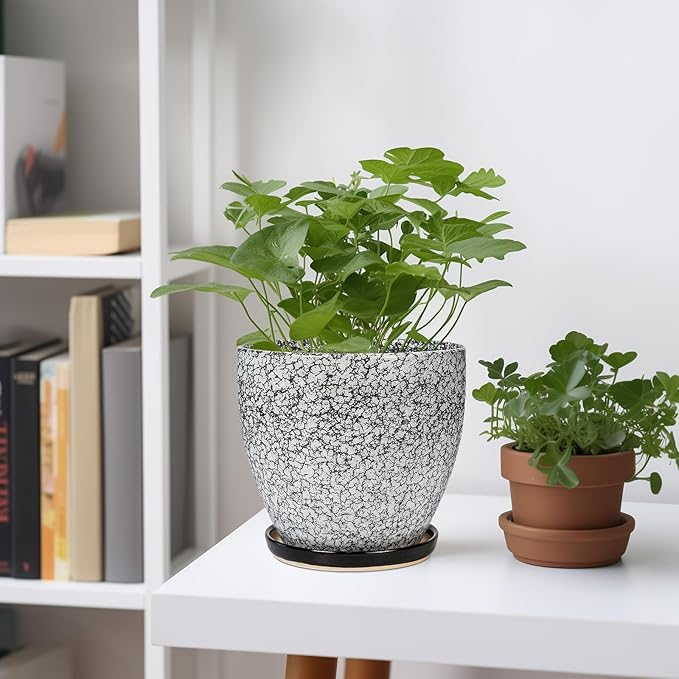Ceramic Planter - 6.3 Inch Plant Pot for Indoor Ourdoor Plants, Round Succulent Planter, Decorative Flower Pots with Drainage Hole and Saucer, Home Desk Decor, Housewarming Gifts, White-black