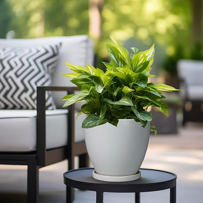 Ceramic Pots for Plants - 8 Inch Planter, Indoor Plant Pot with Drainage Hole and Saucers, Modern Flower Planters, Home Garden Patio Bathroom Porch Room Decor, Gray