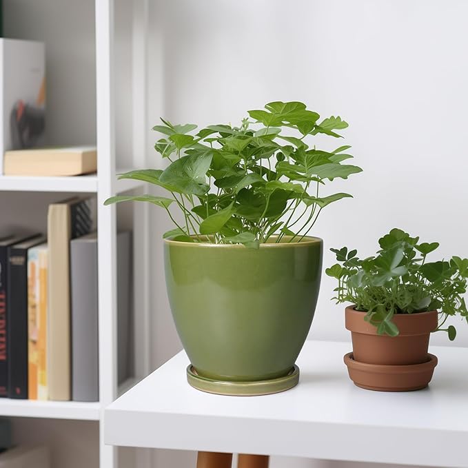 Ceramic Planters for Indoor Plants - 6.8 Inch Plant Pot with Drainage Hole and Saucer Round Modern Flower Pot Home Garden Patio Decor Green