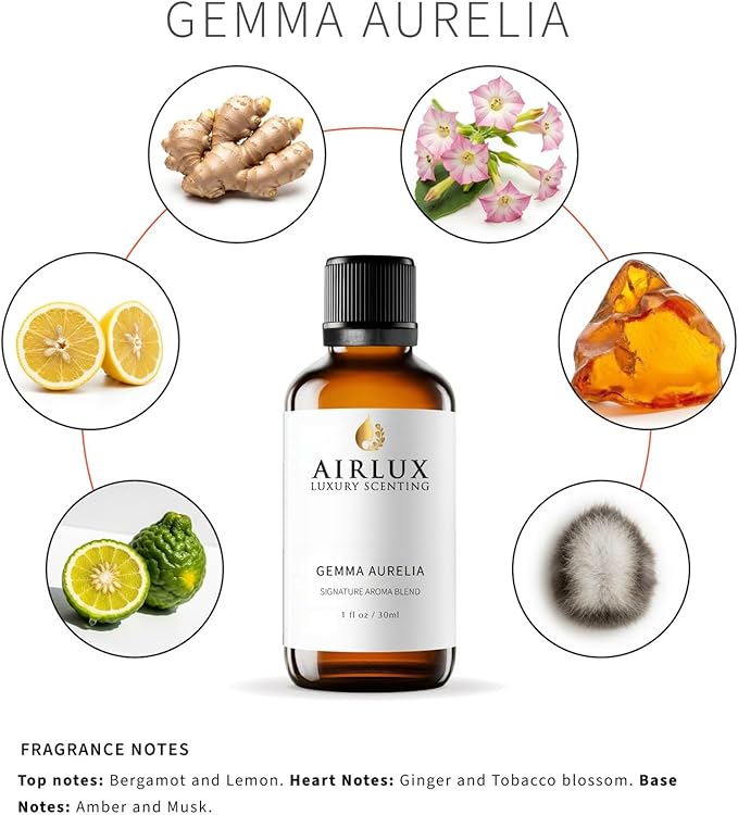 Signature Aroma Oil No. 584 Gemma Aurelia – Aroma Oil for Cold Air & Waterless Diffusers and DIY Crafts – 30 mL, 1.0 fl oz Glass Bottle