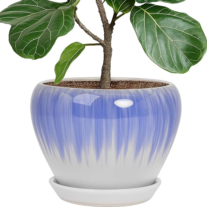 Deep Dream 10 Inch Plant Pot- Ceramic Planter Pot Round Plant Pots for Indoor Plants Outdoor Large Flower Pot with Drainage Holes & Trays, White&Blue