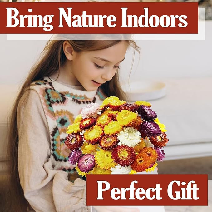 30Pcs Dried Strawflowers Bouquet, 14 - 17" Real Dried Daisy Flowers with Long Stems for Wedding, Farmhouse, Table & Home Decor, Yellow & Orange Fall Floral for Vase or DIY Arrangement