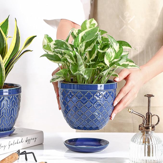 Sureasy Ceramic Indoor Plant Pots - 5.6 Inch Flower Pots for Plants with Drainage Hole and Saucer, Embossed Planter for Succulents, Orchid, Cactus, Indoor Home Decor, Set of 4, Blue