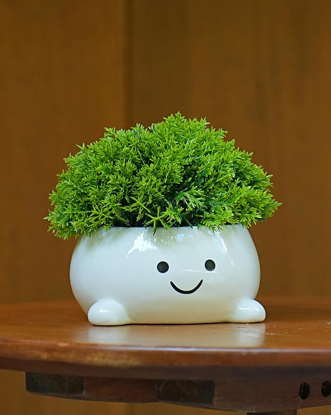 Smily Face Planter Pot Funny Toilet Plant Pots Cute Ceramic Flower Head Planters Succulent Pots for Indoor Outdoor Plants Unique Bathroom Planter with Drainage Hole