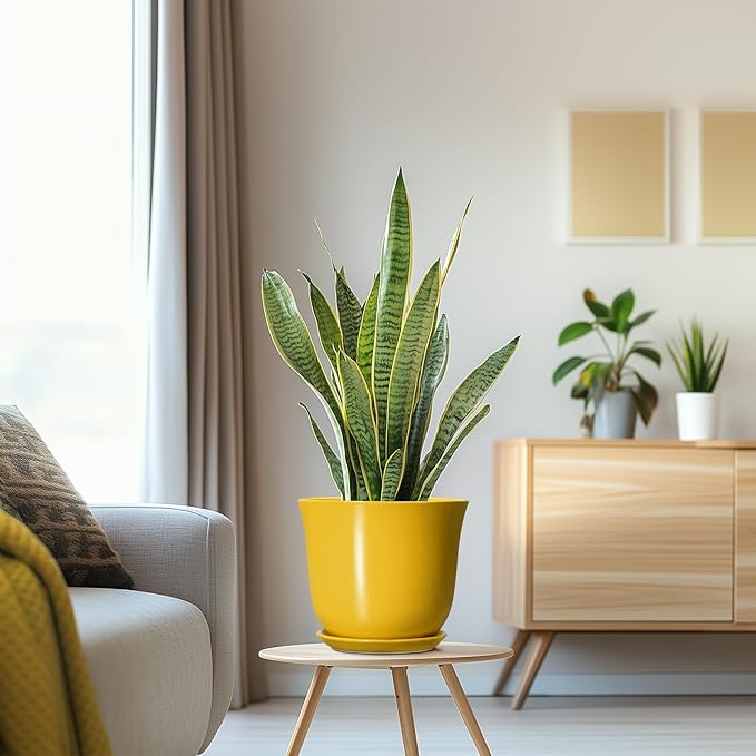 Ceramic Pots for Plants - 8 Inch Plant Pot for Indoor Outdoor, Round Planter with Drainage Hole and Tray, Decorative Flower Pot, Modern Planter, Home Patio Decor, House Warming Gift, Yellow