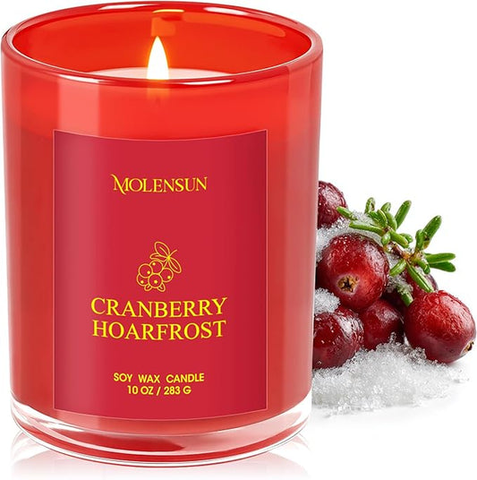 Cranberry Hoarfrost Candle, 10oz Soy Scented Candle for Home, Christmas Birthday & Holiday Gifts for Women & Men, Long Lasting 50+ Hour Clean Non-Toxic Burn, Elegant Winter & Christmas Home Decor