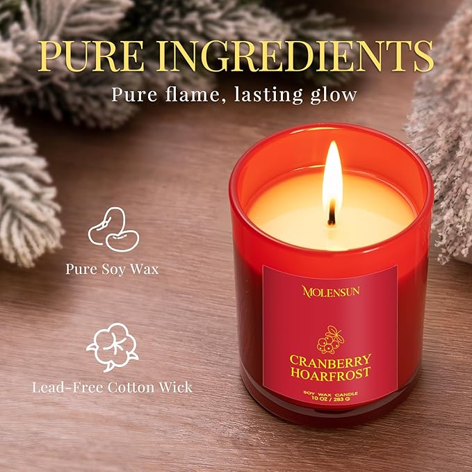 Winter Candles Gift Set, 3 Pack Total 30oz Soy Scented Candles in Luxury Gift Box, Christmas Birthday & Holiday Gifts for Women & Men, Long Lasting Non-Toxic Clean Burn, Winter Festive Home Decor