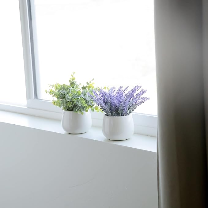 2 Pack in Ceramic Pot Mini Potted Fake Plants Artificial Eucalyptus Lavender for Home Office Desk Shelf Shower Kitchen Centerpiece Farmhouse Room Decor
