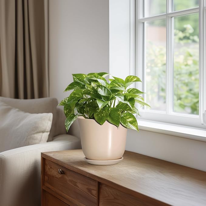 Ceramic Pots for Plants - 5.6 Inch Plant Pot with Drainage Hole and Saucer, Round Orchid Succulent Pots for Indoor Outdoor, Modern Small Planter, Home Office Decor, Gifts for Women, Beige