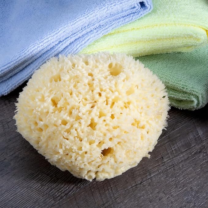 Sea Wool Sponge - All Natural Honeycomb Renewable Sea Sponge, Hand Cut, Jumbo, Approx. 7 Inches (Pack of 2)