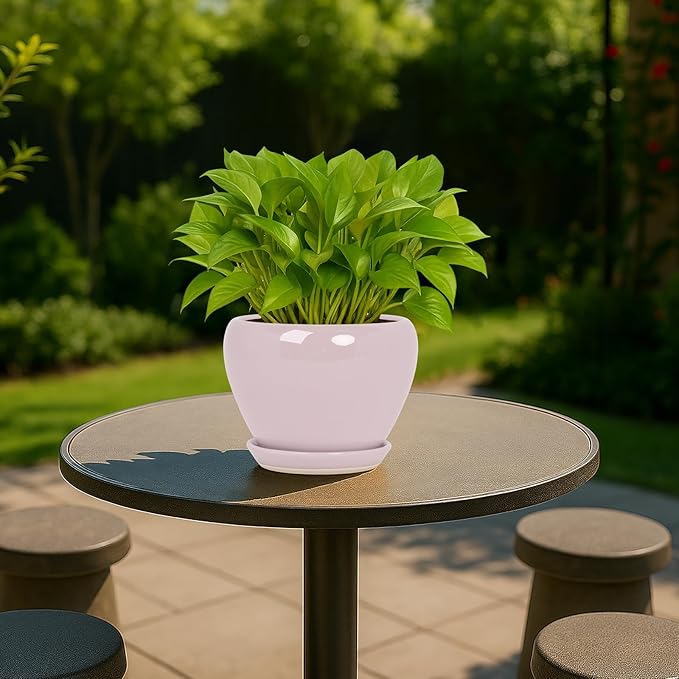 Deep Dream 6 Inch Plant Pots- Ceramic Planter Pot with Drainage Hole and Saucer, Round Flower Pot for Indoor Outdoor Succulent, Snake Plants and Cactus, Pink