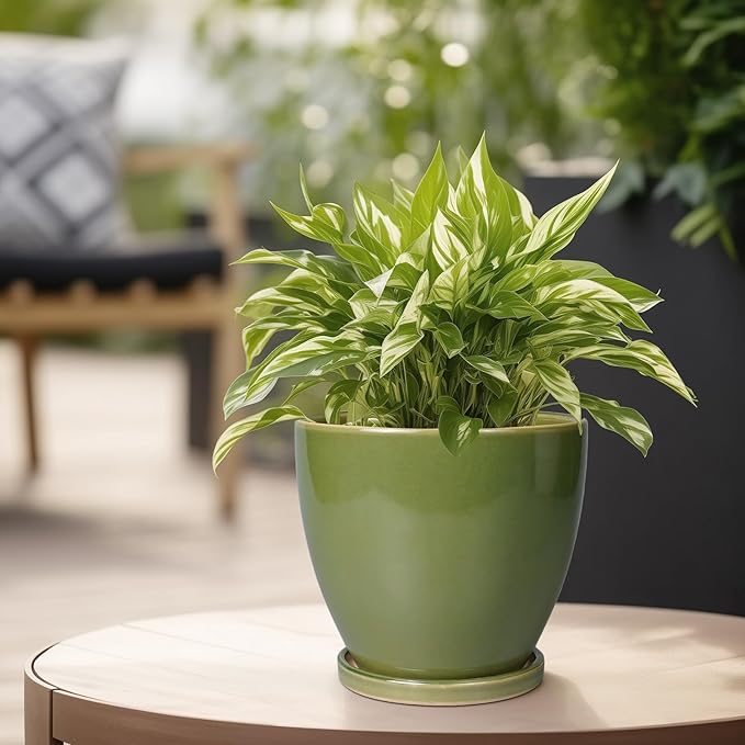 Ceramic Planters for Indoor Plants - 6.8 Inch Plant Pot with Drainage Hole and Saucer Round Modern Flower Pot Home Garden Patio Decor Green