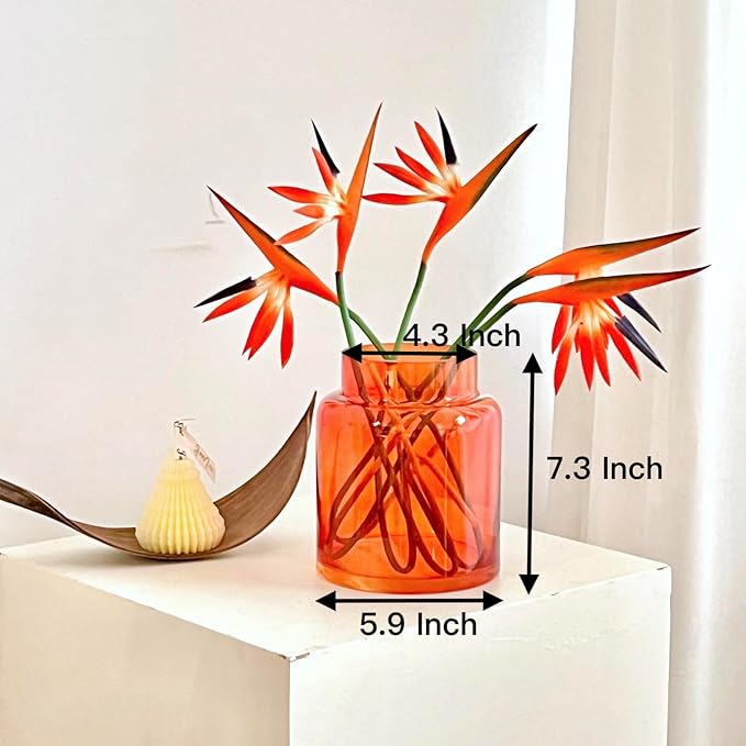 BLOFLO Orange Glass Vase, 7 Inch Large Glass Vase for Flowers, Modern Thick Glass Flower Vases for Centerpieces, Decorative Glass Cylinder Hydroponic Vase for Wedding, Home, Office (Orange, 7Inch)