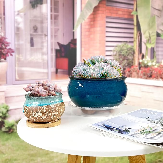 8 Inch Succulent Pot with Drainage and Saucer Glazed Terracotta Round Ceramic Succulent Planter Cactus Bonsai Plant Pot (Dark Green)