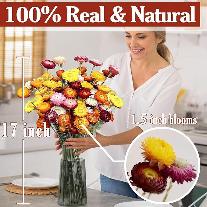 30Pcs Dried Strawflowers Bouquet, 14 - 17" Real Dried Daisy Flowers with Long Stems for Wedding, Farmhouse, Table & Home Decor, Yellow & Orange Fall Floral for Vase or DIY Arrangement