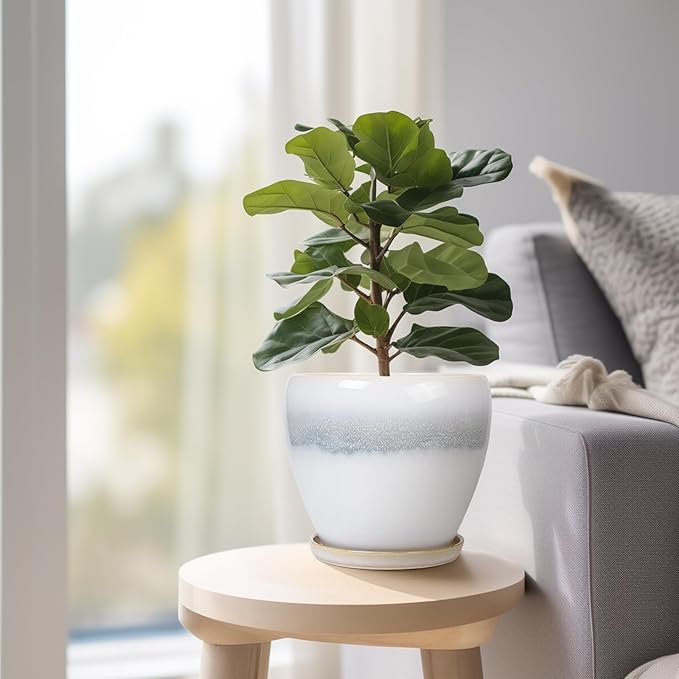 6.3 Inch Plant Pot - Ceramic Planters for Indoor Ourdoor Plants, Modern Succulent Pot, Round Planter with Drainage Hole and Saucer, Room Office Garden Home Decor, Plant Lover Gift, White-Grey