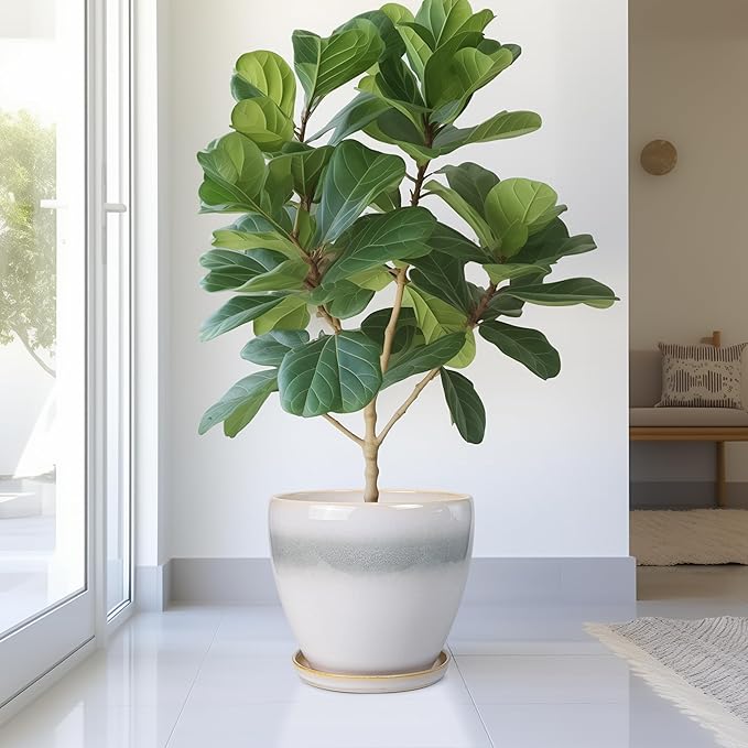 Ceramic Planter - 10 Inch Plant Pot with Drainage Hole and Plant Saucer, Round Decorative Large Flower Pots Indoor Outdoor, Home Patio Porch Room Decor, Birthday Gifts, White-Grey