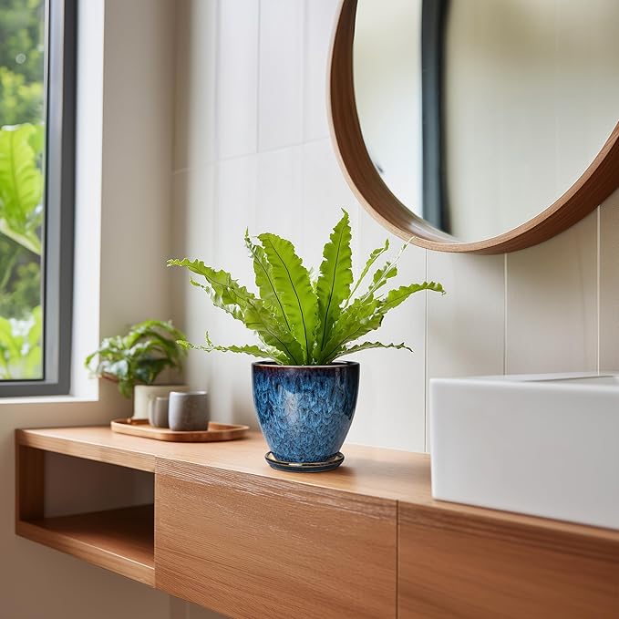 6 Inch Plant Pot - Ceramic Pots for Plants with Drainage Hole and Saucer, Ceramic Planters for Indoor Plants Outdoor, Decorative Round Planter, Room Home Decor, Gifts for Plant Lovers, Blue