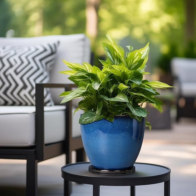 8 Inch Planter - Ceramic Plant Pot with Drainage Hole and Tray Round Planter Modern Flower Pot for Room Home Office Patio Porch Garden Decor Blue