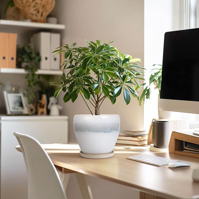 Ceramic Plant Pot - 6 Inch Ceramic Pots for Indoor Outdoor Plants, Decorative Planter with Drainage Hole and Saucer, Modern Plant Pots, Bedroom Room Decor, Plant Lover Gifts, White-Grey