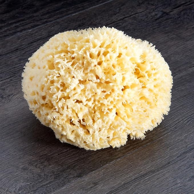 Sea Wool Sponge - All Natural Honeycomb Renewable Sea Sponge, Hand Cut, Jumbo, Approx. 7 Inches (Pack of 2)