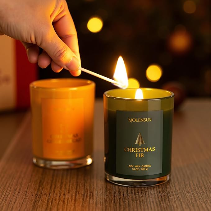 Christmas Candles Gift Set, 3 Pack Total 30oz Soy Scented Candles in Luxury Gift Box, Birthday & Holiday Gifts for Women & Men, Long Lasting Non-Toxic Clean Burn, Elegant Winter Festive Home Decor