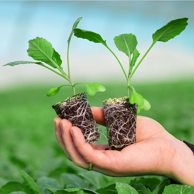 30 Packs Peat Pots, 3.1 Inch Seed Starting Pots Without Drainage Holes, Biodegradable Round Nursery Pot, Starting Seeds of Vegetables, Herbs, and Flowers