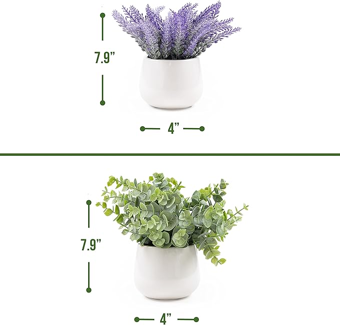 2 Pack in Ceramic Pot Mini Potted Fake Plants Artificial Eucalyptus Lavender for Home Office Desk Shelf Shower Kitchen Centerpiece Farmhouse Room Decor