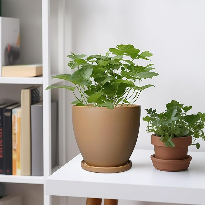 6.8 Inch Planter - Ceraimc Pots for Indoor Outdoor Plants Round Planters Modern Flower Pot with Drainage and Tray Home Garden Decor Brown