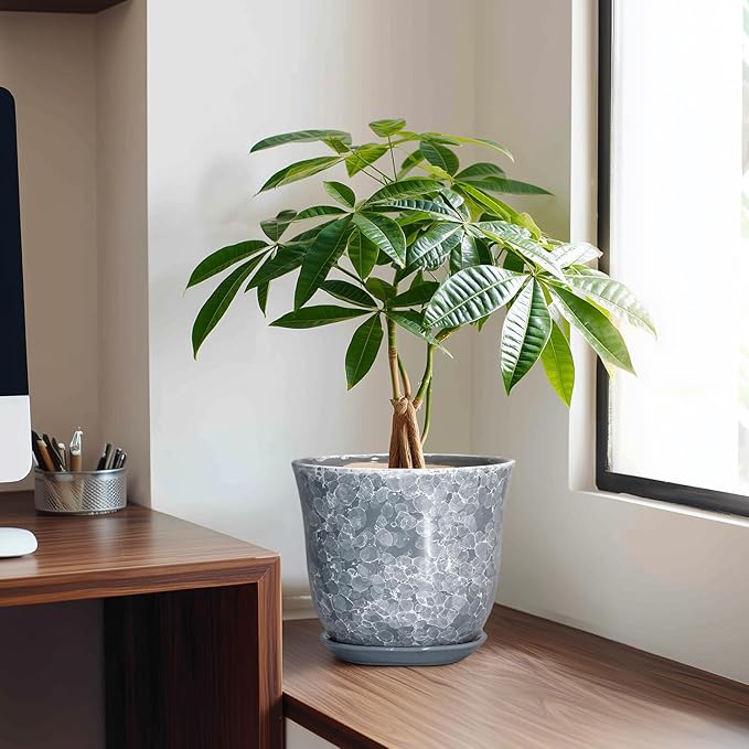 Ceramic Plant Pots - 8 Inch Plant Pot with Drainage Hole and Saucer, Round Planter for Indoor Outdoor, Modern Flower Pots, Decorative Planters, Home Room Office Decor, Gardening Gifts, Grey