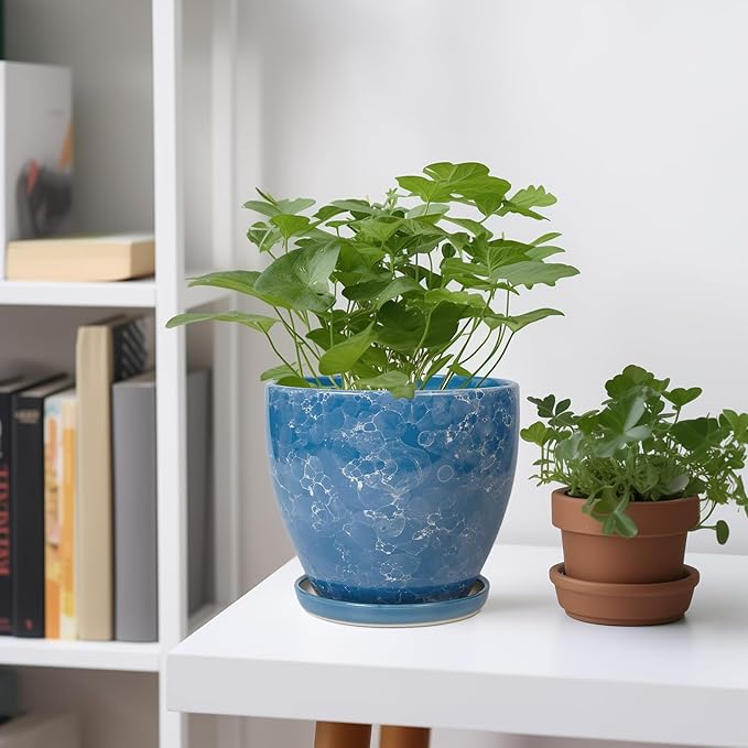 Ceramic Pots for Plants - 6.3 Inch Planter with Drainage Hole and Plant Tray, Decorative Succulent Pot, Round Flower Planter for Indoor, Garden Living Room Decor, Gifts for Plant Lovers, Blue