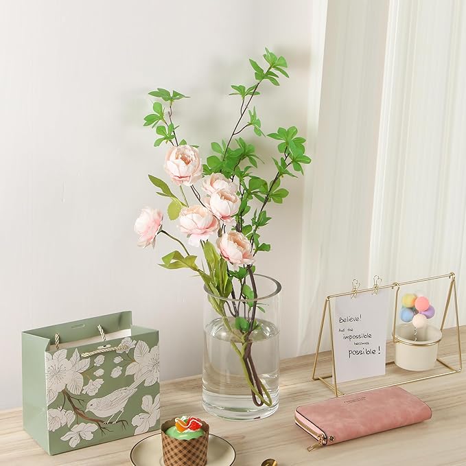 5’ Wide and 8" High Large Hand Blown Sturdy Clear Cylinder Glass Vase, Centerpiece Flower Vase for Rose, Tulip, Boquets, Hurricane Candle Holder (2, 5"x8")