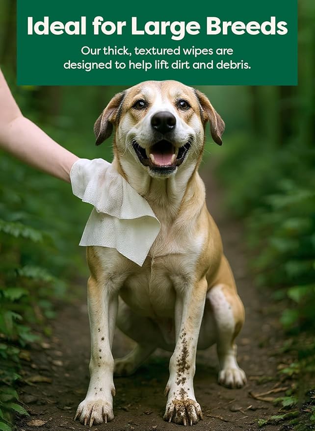 Earth Rated XL Pet Wipes for Dogs & Cats, 3-in-1 Unscented Hypoallergenic Cleaning, Deodorizing and Hydrating Extra Large Grooming for Body, Paws and Butt, Unscented, 60 Count