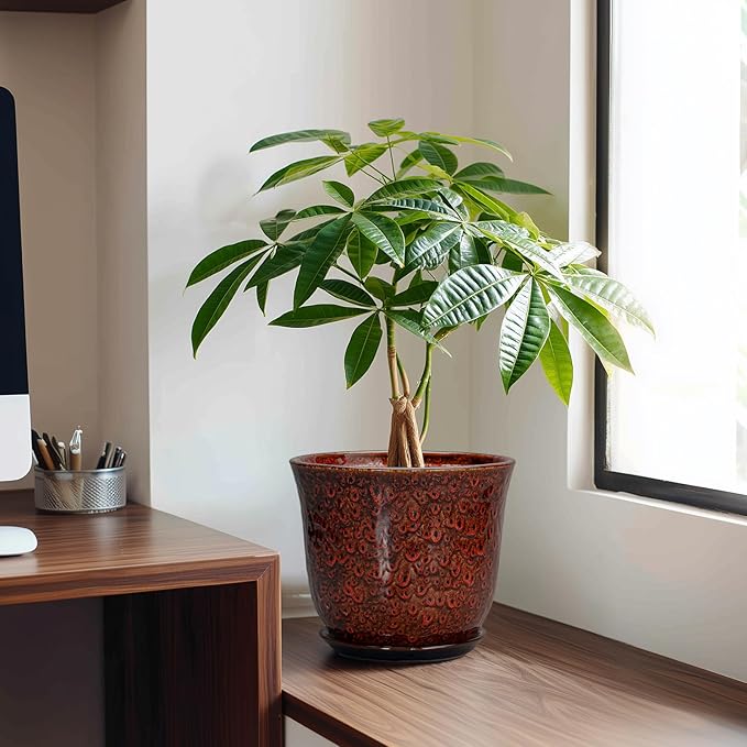 Ceramic Planter - 8 Inch Plant Pot for Indoor Outdoor, Ceramic Flower Pots with Drainage Hole and Saucer, Round Planter, Decorative Plant Pot, Room Home Apartment Decor, Gift for Women, Red