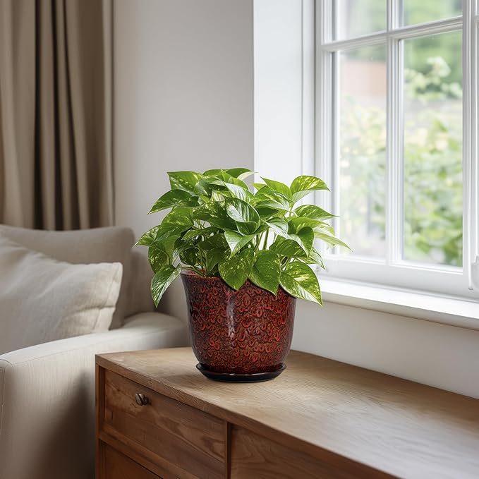 Ceramic Plant Pots - 5.6 Inch Plant Pot Indoor Outdoor, Small Planter with Drainage Hole and Saucer, Round Planter, Orchid Succulent Pots, Garden Room Decor, Gardening Gifts for Women, Red