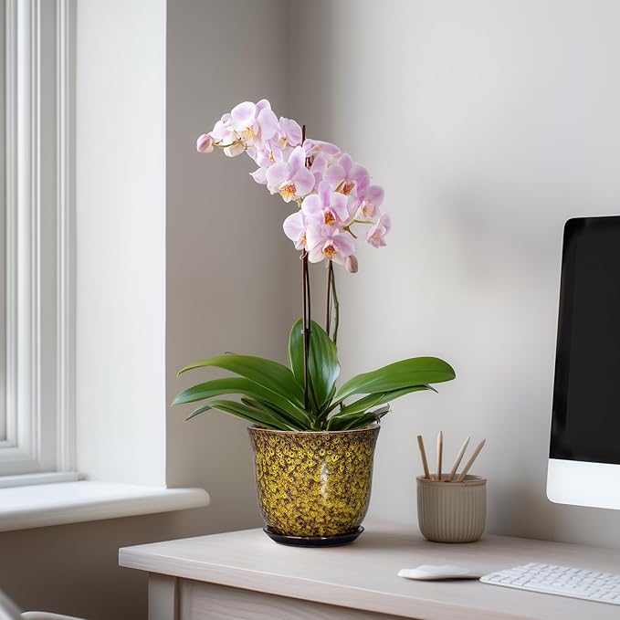 Ceramic Plant Pots - 5.6 Inch Planter with Drainage Hole and Saucer, Succulent Orchid Pots for Indoor Outdoor, Small Round Flower Pot, Room Window Office Decor, House Warming Gifts, Yellow