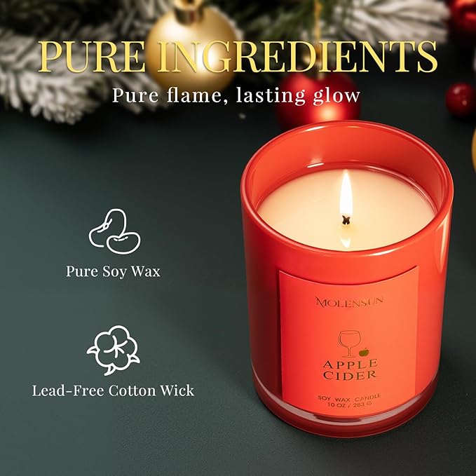 Apple Cider Candle, 10oz Soy Scented Candle for Home, Christmas Birthday & Holiday Gifts for Women & Men, Long Lasting 50+ Hour Clean Non-Toxic Burn, Elegant Winter & Christmas Festive Home Decor