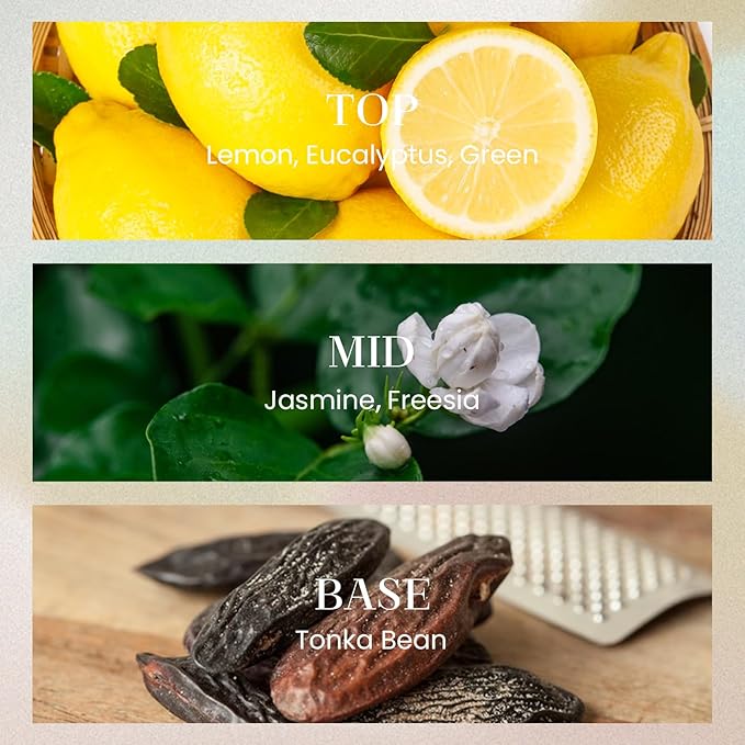 M&SENSE 6.3 oz Large Reed Diffuser Set | White Tea & Sage Scent Oil Diffuser with Sticks | Hotel Collection Non-Toxic Essential Oil |for Bedroom Bathroom Living Room