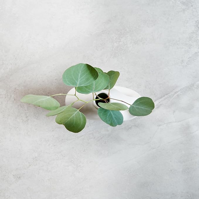 Restaurantware-Table Art Flower Vase, 1 Jug Vase - Minimalist Style, for Fresh Or Artificial Flowers, Black Ceramic Piece for Home Decor, Kitchen, Home, Living Room, Office, and More