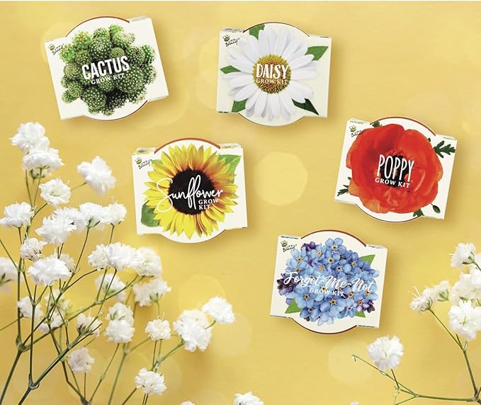 BUZZY Seeds Mini Terracotta Pots 12-Pack with Plant Seeds, Poppy, Sunflower, Daisy, Cactus and Forget Me Not, All-in-One Seed Starter Kit, Indoor Outdoor Gardening Gift, Wedding Favors