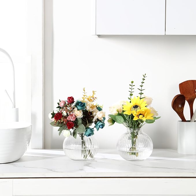 Round Glass Vases, Set of 2 Small Vases for Flowers, Clear Glass Vase for Tulips, Modern Vase for Living Room, Office, Coffee Table, Shelf, Wedding, 5 Inches