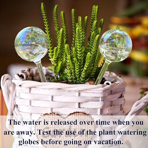 Clear Rainbow Glass Plant Automatic Watering Bulb, 4pcs Garden Flower Self Watering Planter Inserts, Automatic Plant Waterer System Set Self Watering Spikes to Support Plant Health