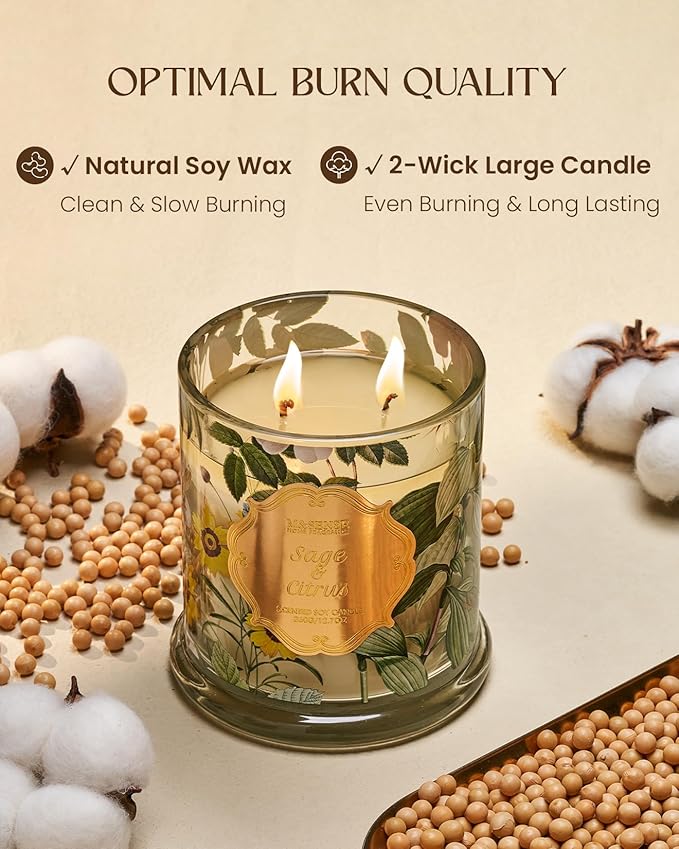 M&SENSE Sage Citrus Scented Candles, Natural Organic Soy Candle 12.7oz 75H Long Lasting Slow Burning, 2 Wick Large Jar Candle Stress Relief, Fall Winter Thanksgiving Christmas Housewarming Gift