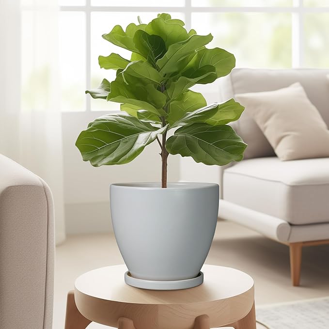 6.8 Inch Planter - Ceraimc Pots for Indoor Outdoor Plants Round Planters Modern Flower Pot with Drainage and Tray Home Garden Decor Gray