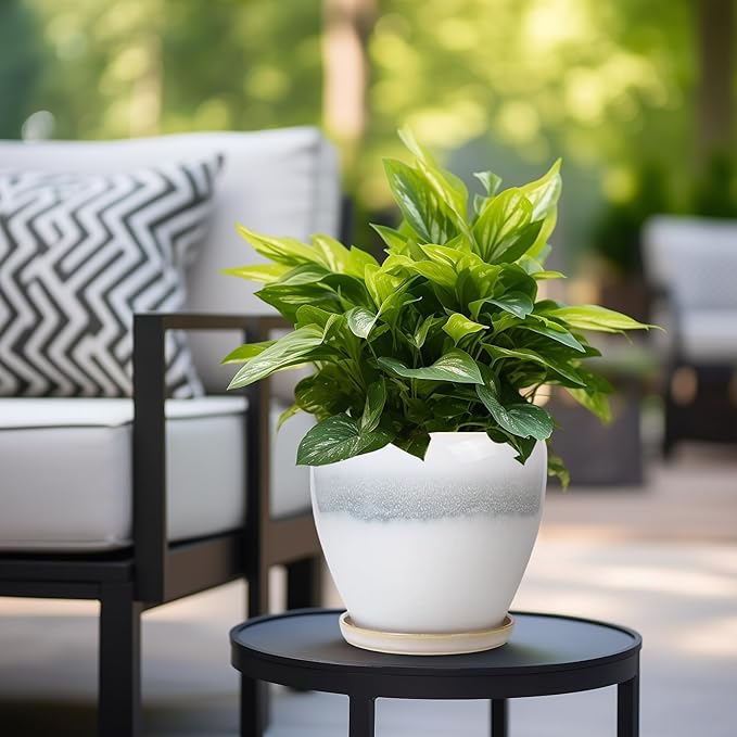 Ceramic Pots for Plants - 8 Inch Planter with Drainage Hole and Saucer, Round Flower Pot for Indoor Outdoor Plants, Decorative Planter, House Patio Decor, Housewarming Gifts, White-Grey