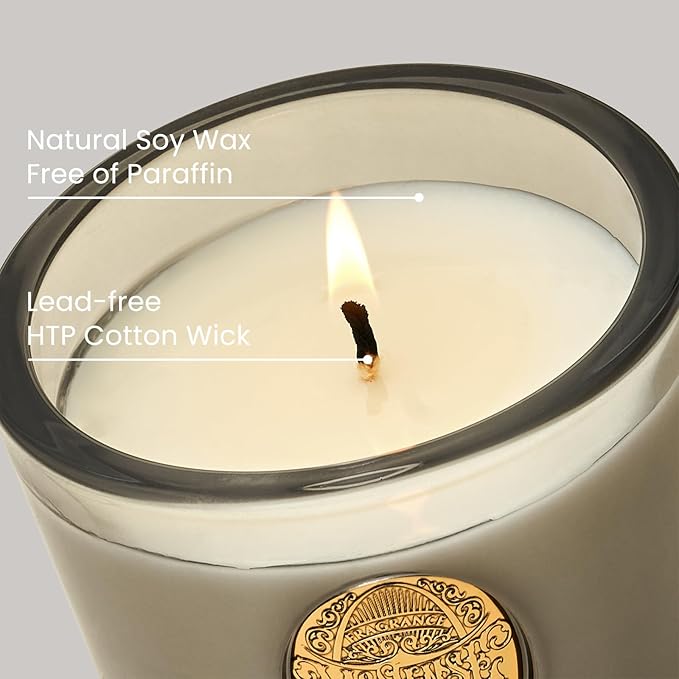 M&SENSE Natural Soy Candle | Coconut & Gray | 9.2 oz, 50H Burn Time | Luxury Scented Candle for Relaxation, Gifting, Home Décor | Ideal for Bedroom, Office, Party Ambiance