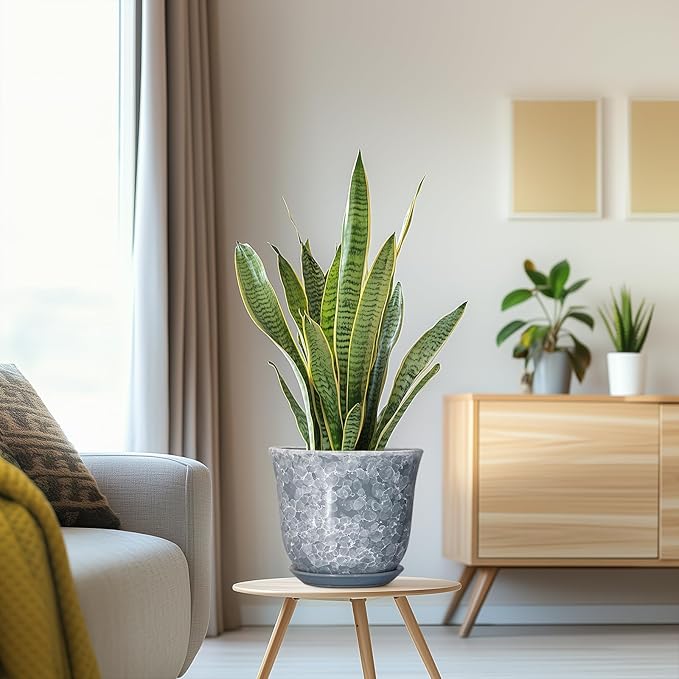 Ceramic Plant Pots - 8 Inch Plant Pot with Drainage Hole and Saucer, Round Planter for Indoor Outdoor, Modern Flower Pots, Decorative Planters, Home Room Office Decor, Gardening Gifts, Grey